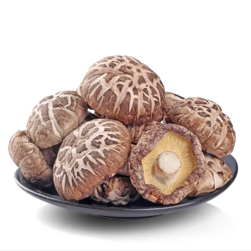 Factory Direct Customized Sizes Whole Raw Processed Dried Shiitake Flower Mushroom for Plant Eating Direct from the Source