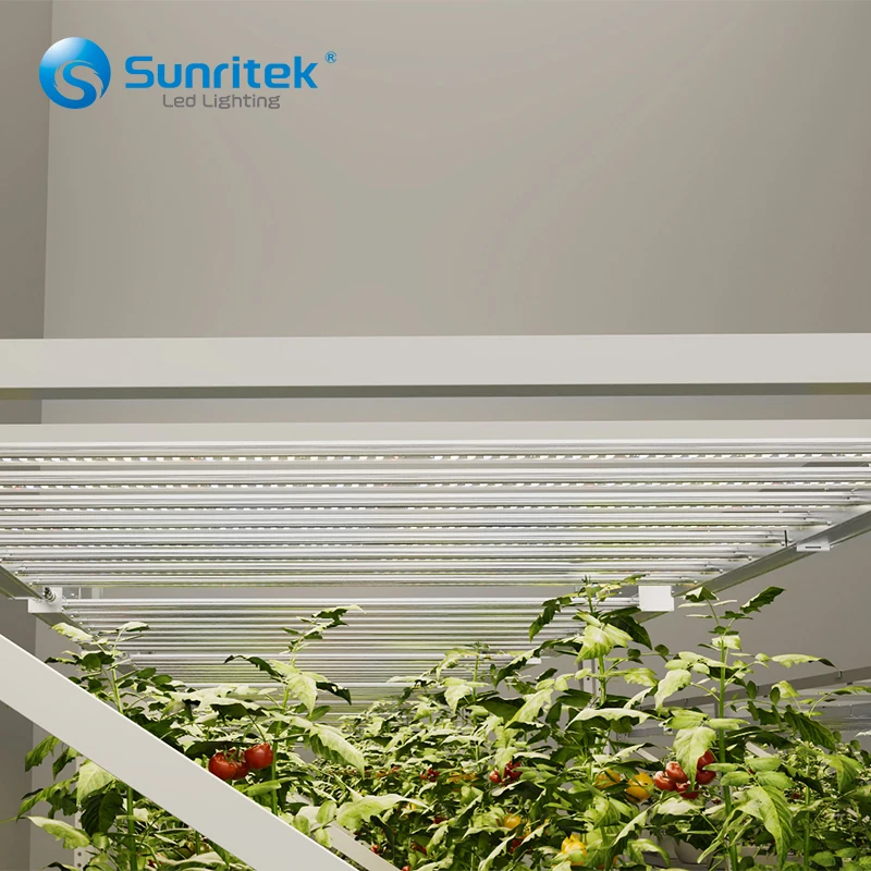 2023 Factory Hydroponic flood tables and trays greenhouse nursery steel rolling benches galvanized  Vertical grow rack for green