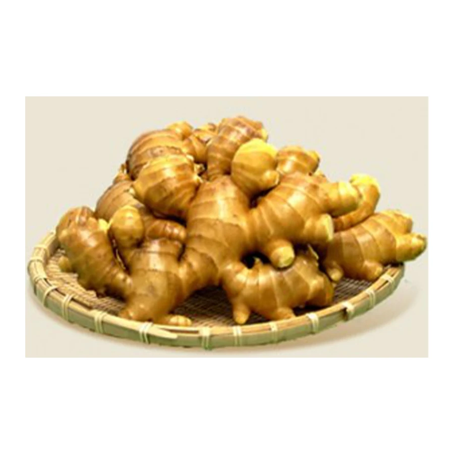 
UENOYA cream fresh delicious importers instant ginger tea granules 