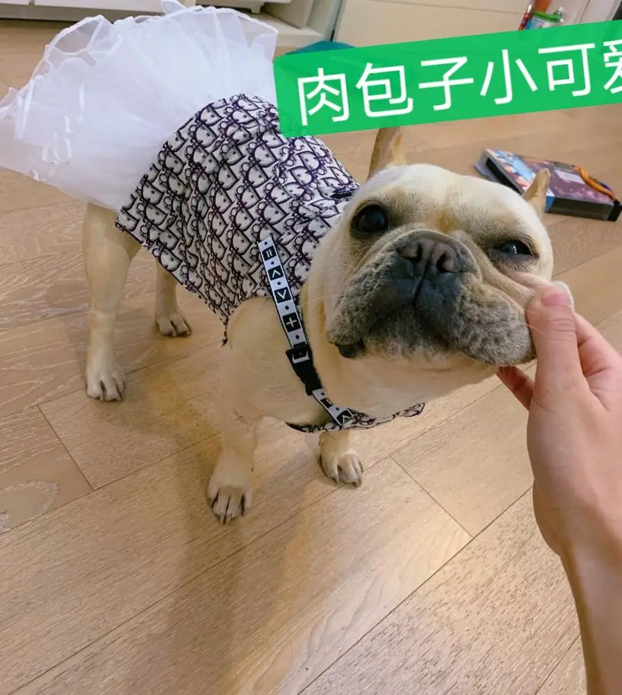 JXANRY Spring and Summer new Teddy Dress French Bulldog Clothes Fat dog Popular Logo Jean Strap Skirt Stretchy Comfortable Pet