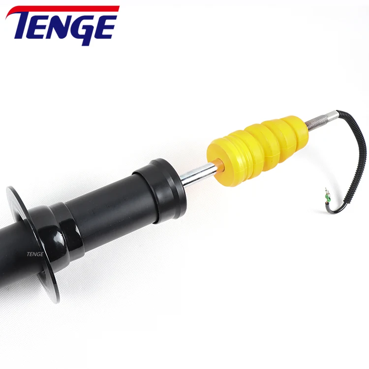2014-2019 Shock Absorber Front-Left/Right ACDelco for Tahoe Yukon Escalade  GM 84176631 Spring Shock Absorber
