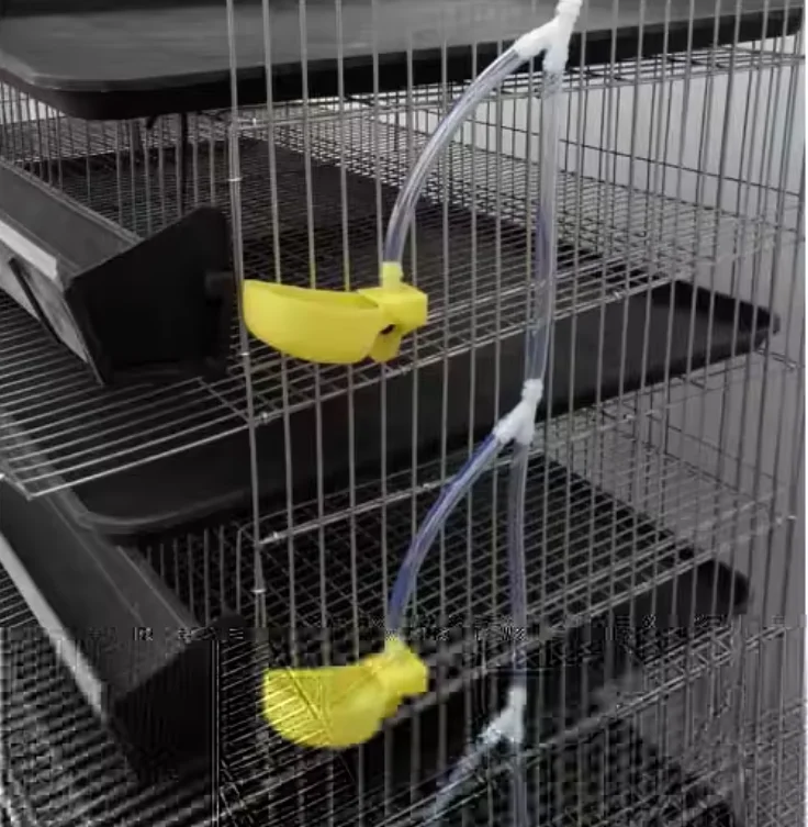H type 6 tiers 288 capacity quail cage with drinking feeding system wire mesh cage galvanized quail cage