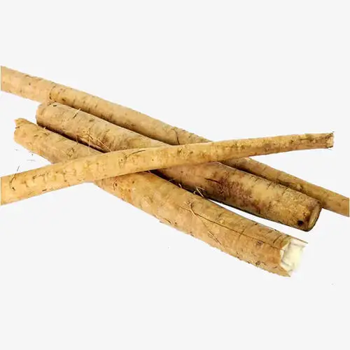  Fresh burdock Bulk IQF frozen fresh