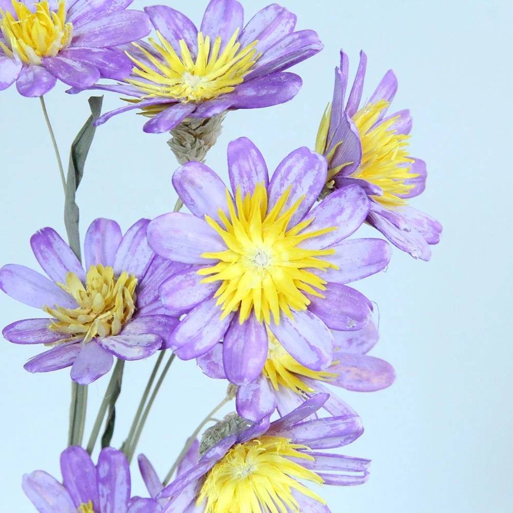 Primary Source Wholesale Dried Handmade Melon Seed Pericarp Flower The Third Genrnation For Home Decor Event & Party Supplies