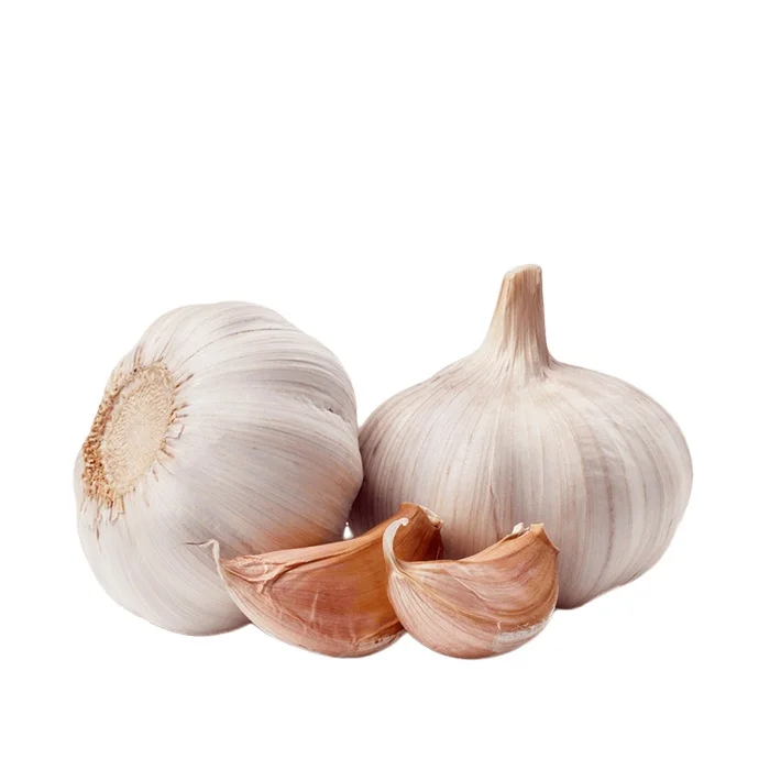 
2021 new crop China fresh vegetables seed Garlic Ginger in bulk price China for export 