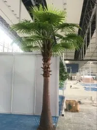 China Supplier Wholesale Tropical Plants Sago Palm Cycas Artificial Bonsai Tree For  for Home Decoration