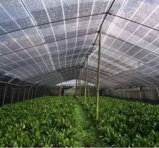 Lockrand Edge Sun Shade Mesh /Lockrand Edge Sun Shading Screen