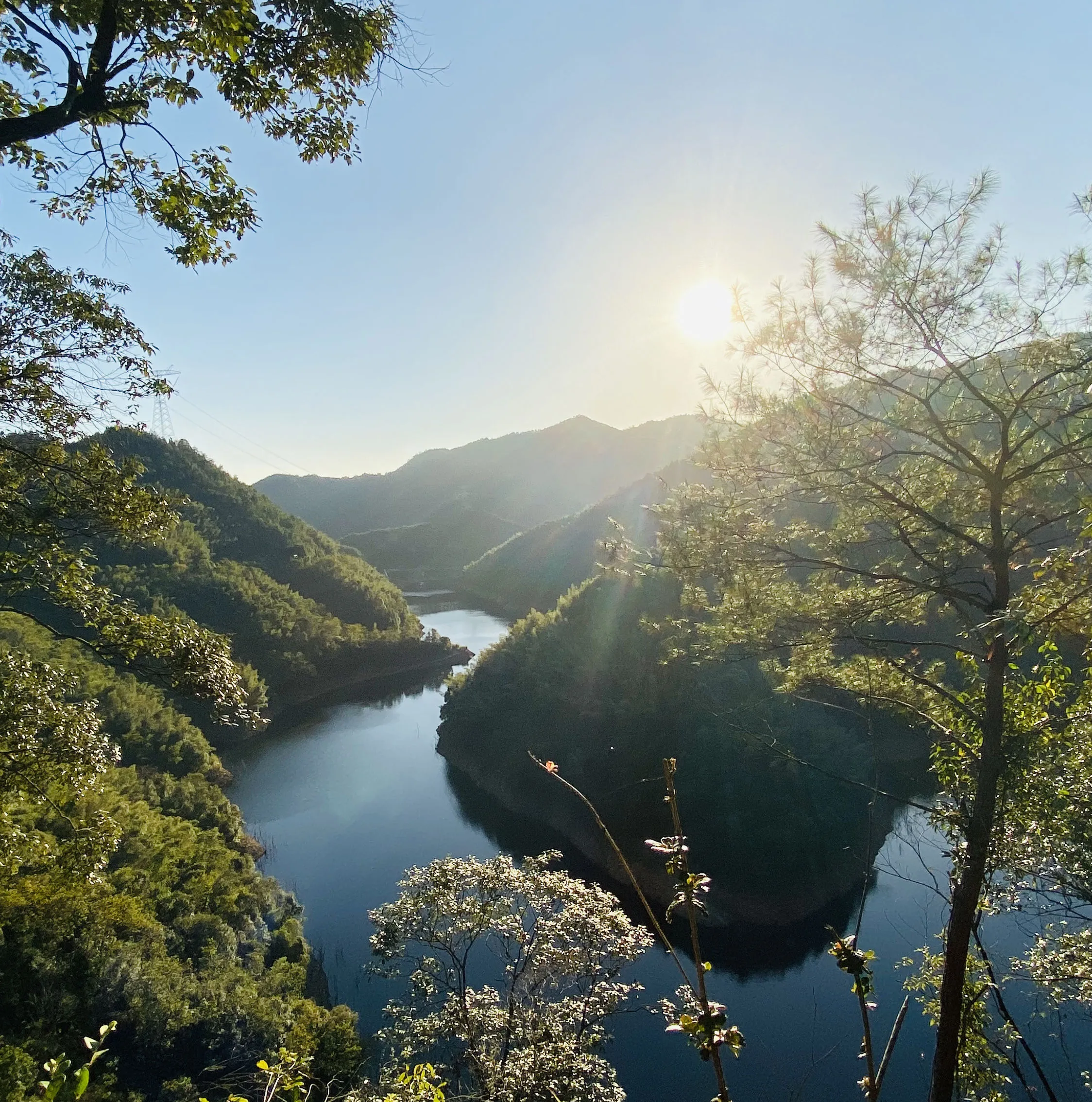 Unique Chinese Goalong Single Malt Whiskey 48% ABV Age in Bourbon Cask Alcoholic Drink whisky