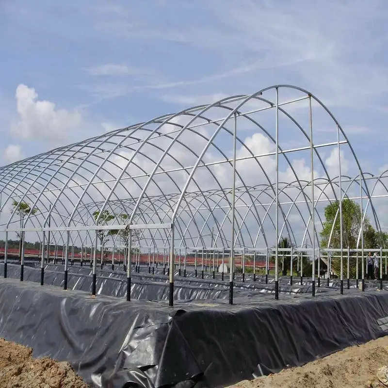 Agriculture hydroponic tunnel greenhouse steel wire cable