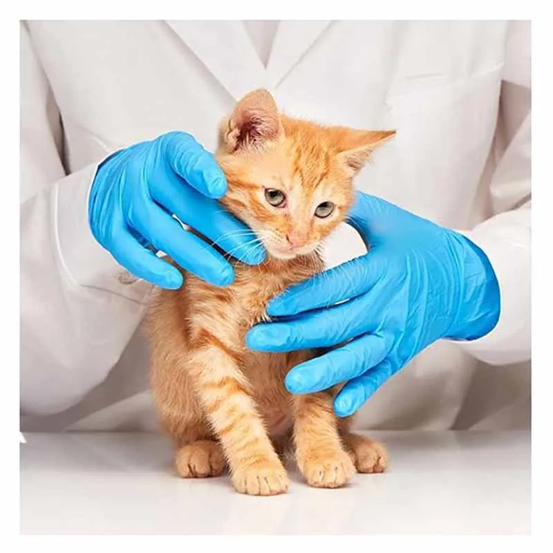 OEM Custom LOGO Wholesale Latex Free Household Gloves Home Kitchen Used Disposable Cleaning Glove Synguard Nitrile Exam Glove