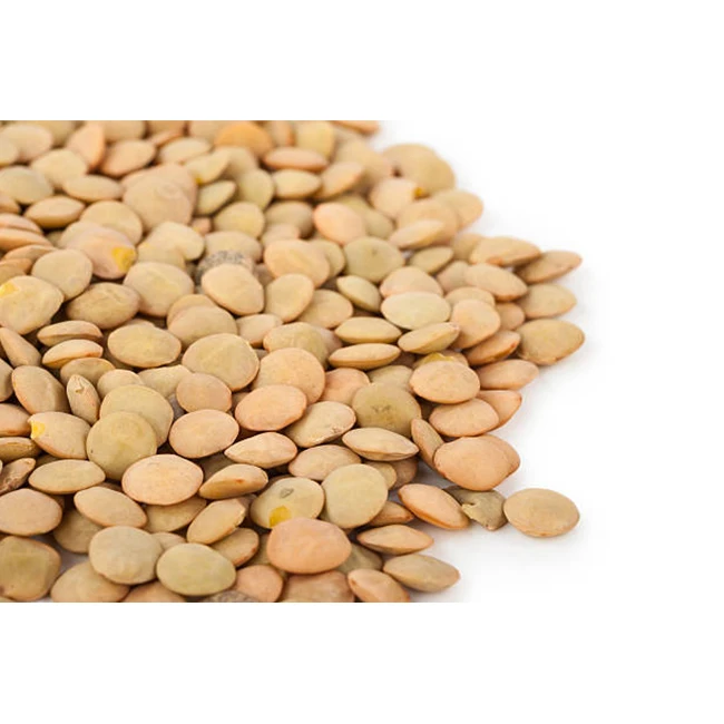 Высококачественная линза Richlea-высокое качество, Лучшая цена, непосредственно от производителей в Мексике