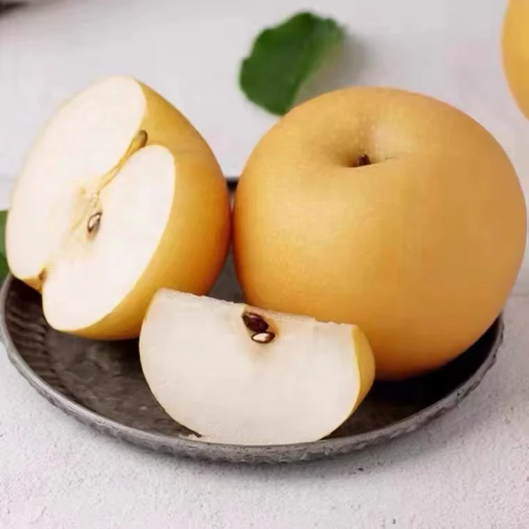 Сочная Вкусная свежая груша singo, китайская груша для продажи