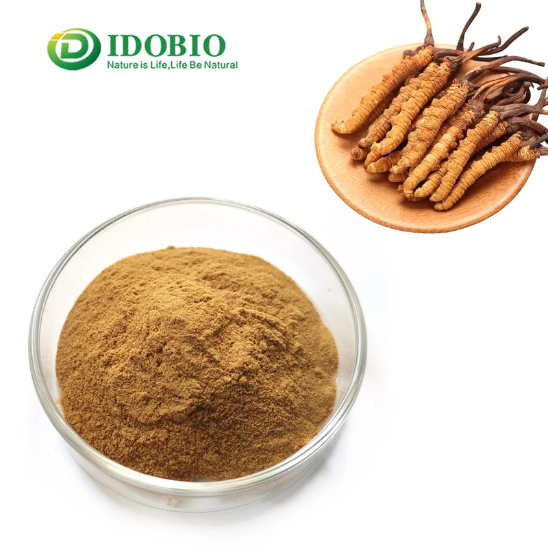 
Gold Supplier Healthy Product Mushroom powder Cordyceps Sinensis cs-4 