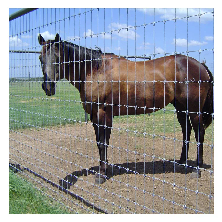 Factory supply hot dipped galvanized mesh wire for farm fence horse fence cattle field fence