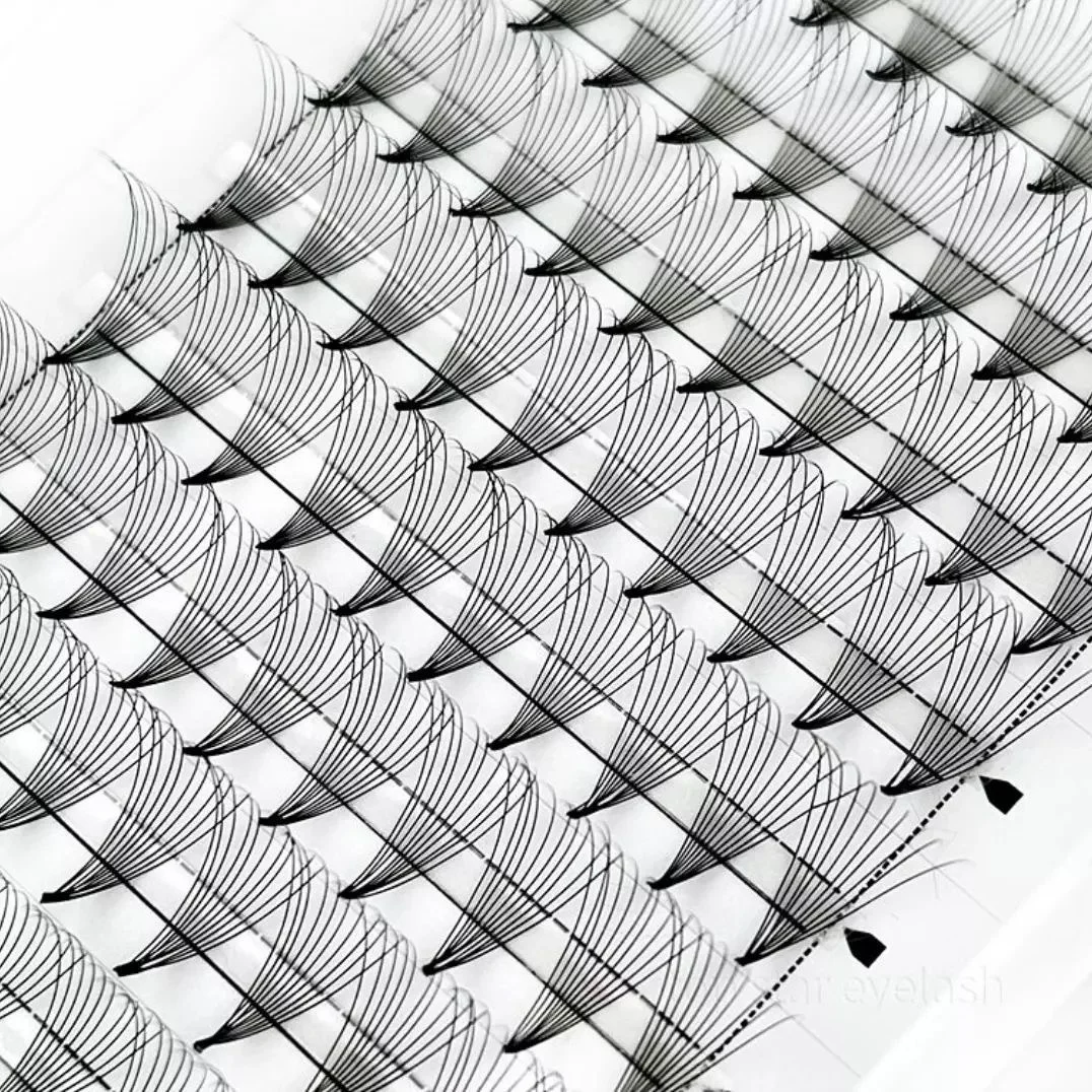 Trays Eyelash Fans Ultra Dark Black Wholesale Premade Fans 0.07 0.10 Short Stem 3D 4D 5D Volume Lashes