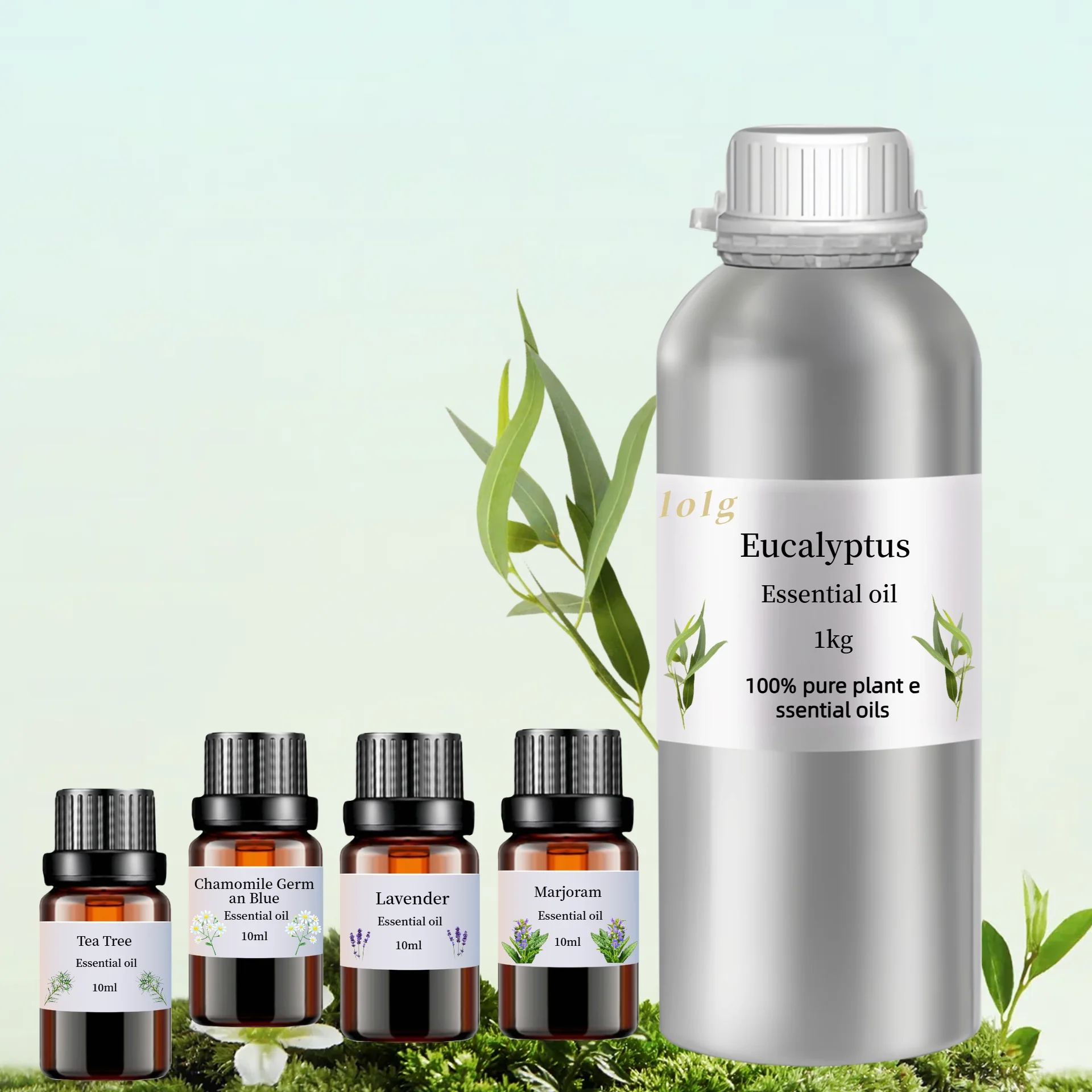 Factory Direct 100% Pure Eucalyptus Essential Oil Blue  Bulk Supply Massage OEM 10ml Essential Oil Wholesale