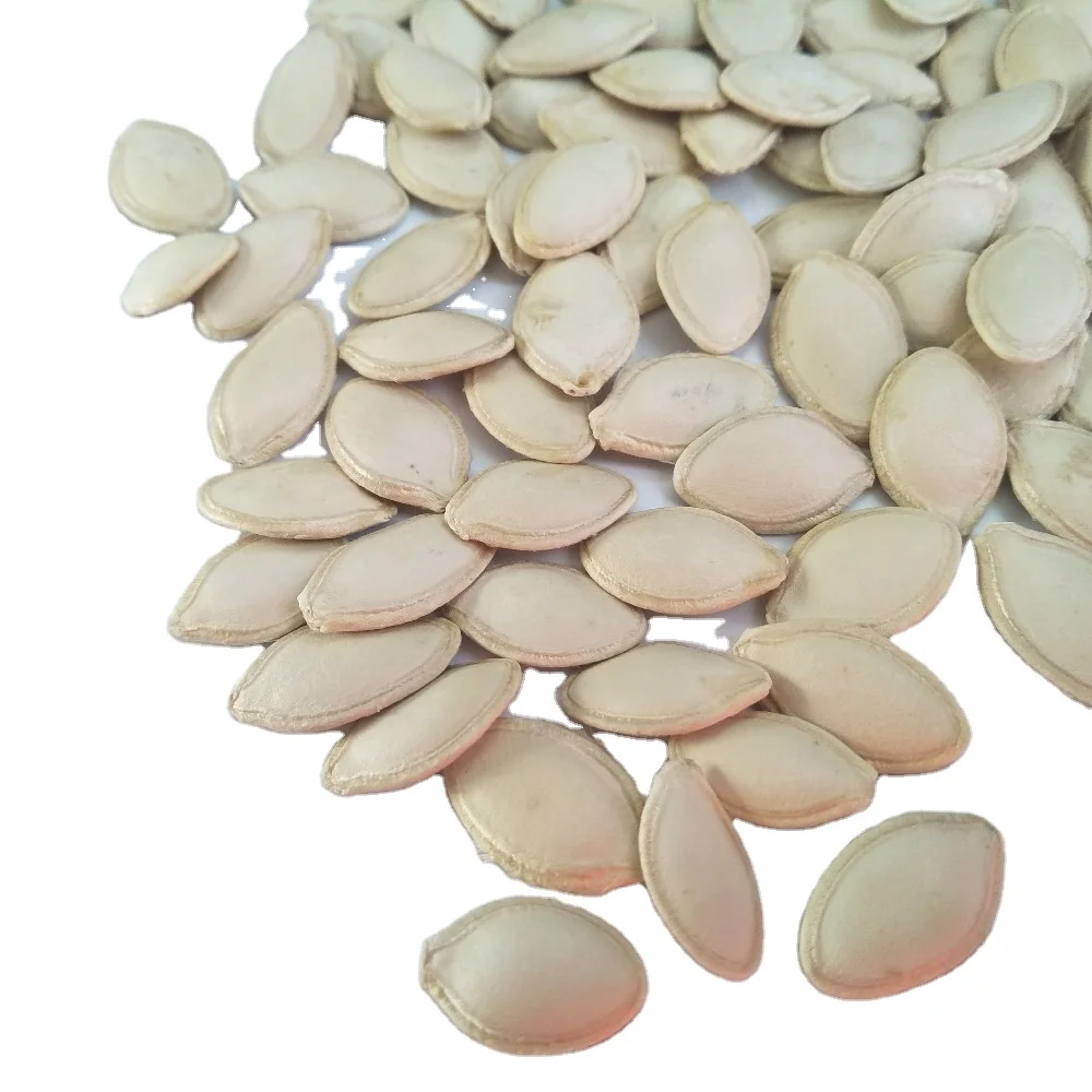 High Quality Snacks Dried Food Shine Skin Pumpkin Seeds Fresh Snow White Pumpkin Seeds