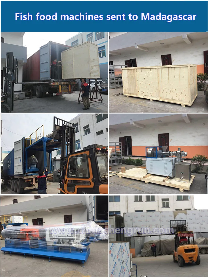 High quality at low price Full Automatic Animal Floating fish feed processing machine