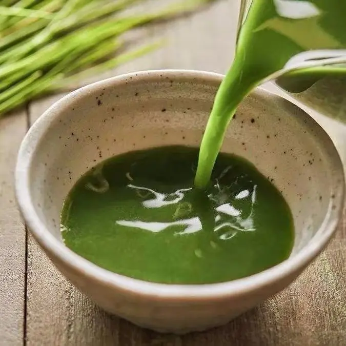 Free Samples Matcha Japanese Style Pure Matcha Japanese Matcha Tea