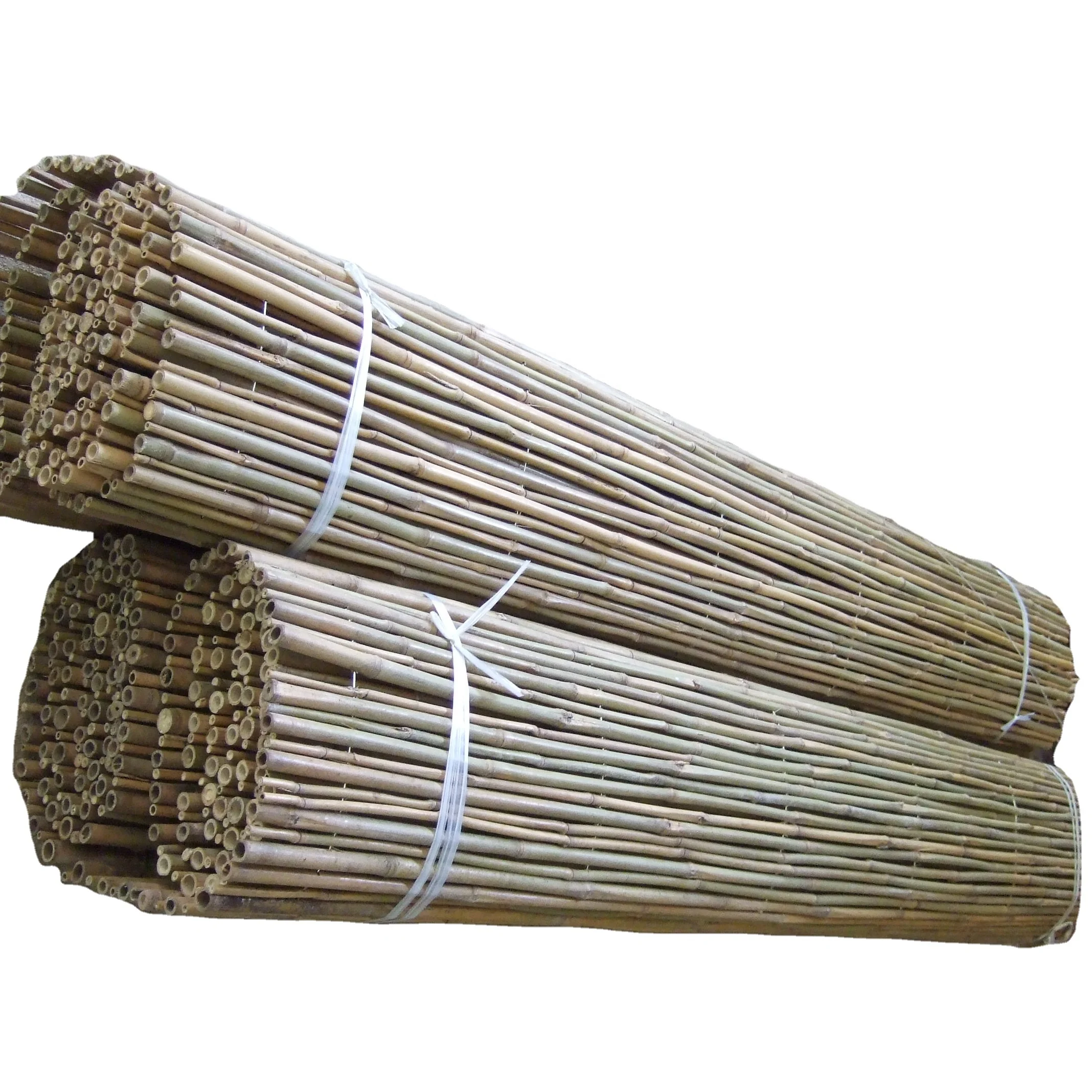 Black fern fence for decoration