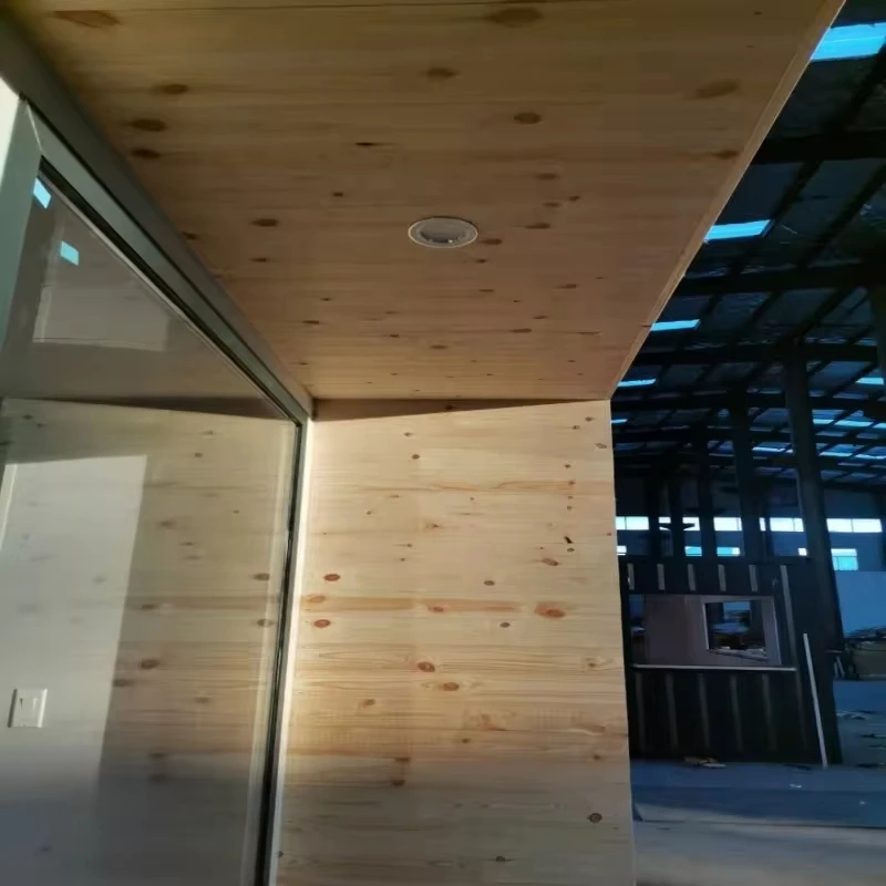 New design prefab portable house structure expandable prefab container home house