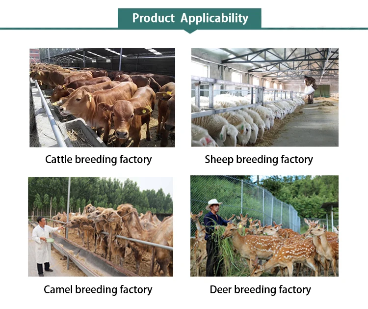 Health Growth Fattening Food Cow Cattle Sheep Fattening Booster Animal Growth Feed Additives Make Animals Bigger And Fatter