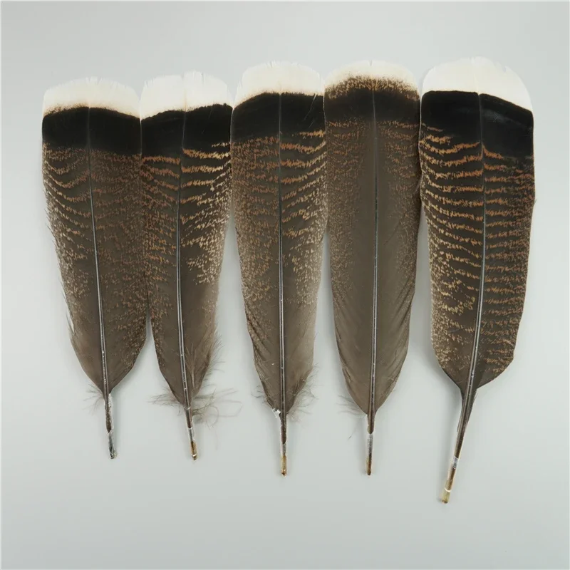 10Pcs/Bag Natural Eagle Feathers for Crafts Plume Headdress Accessories Holiday Decoration Carnival Feather DIY Handicraft Decor
