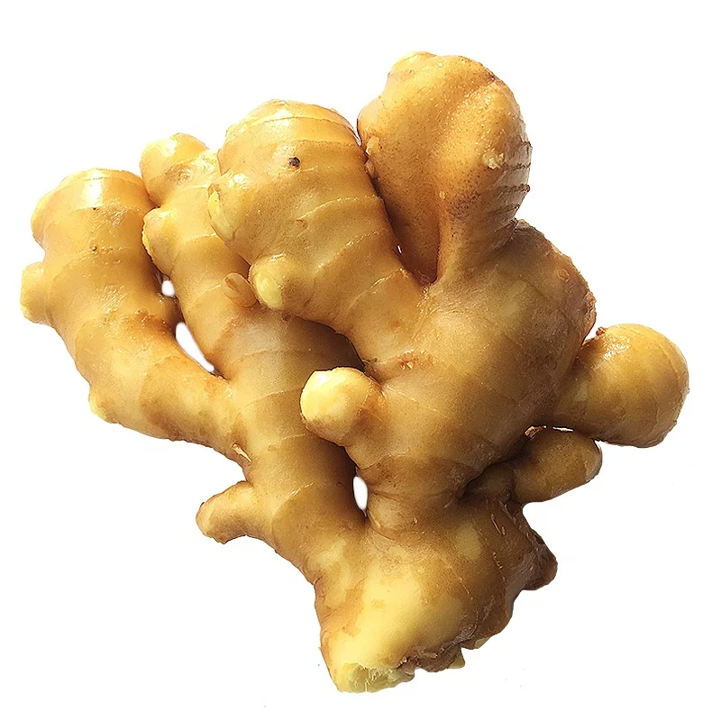 New Crop Ginger To Miami Export Price 1kg China Mature Fresh Ginger For Sale