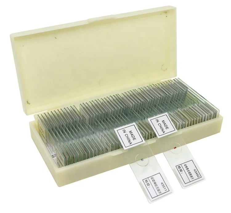 50 slides of medical science human teeth oral pathology prepared for university standards
