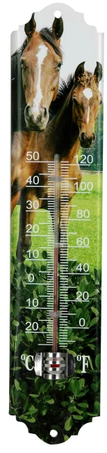 Garden Decorative glass Vertical Outdoor Glass Wall Thermometer