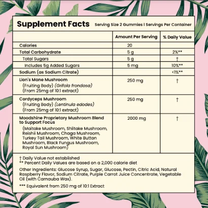 Complex Mushroom Gummies Boosting Energy Memory Brain Boost Vegan Complex Mushroom Gummy Supplement