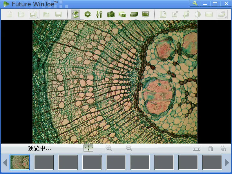 DBMVV5000CL-500P 5MP 2K HD 600X USB digital Polarizing Microscope for  Studying Anisotropic Materials
