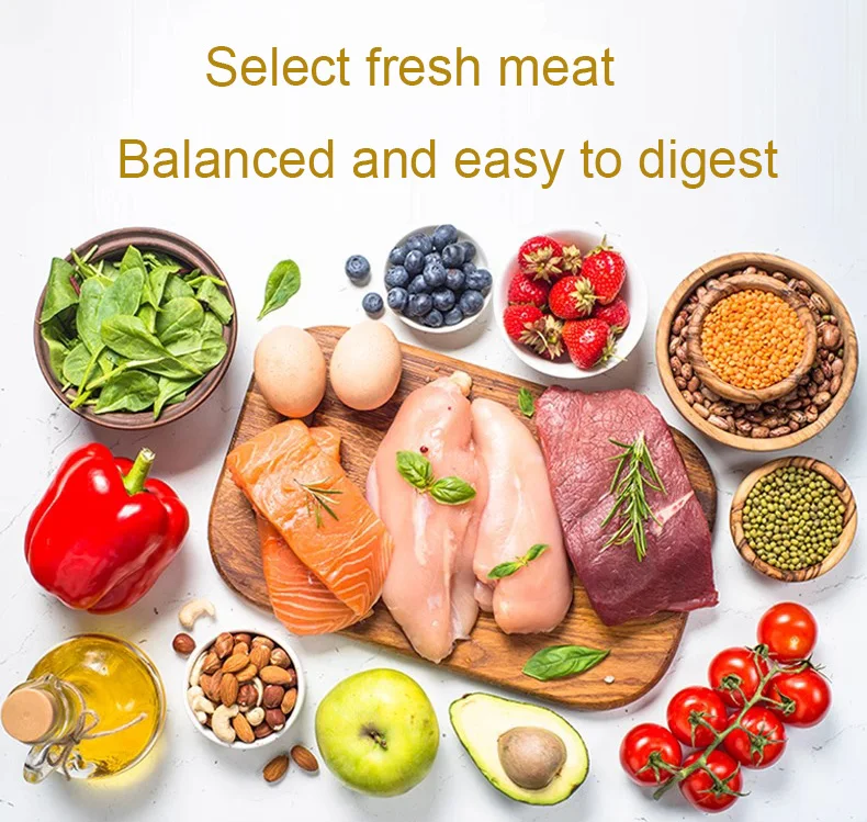 OEM ODM лучшая оптовая продажа кошачья еда со вкусом говядины оптом для всех этапов кошек