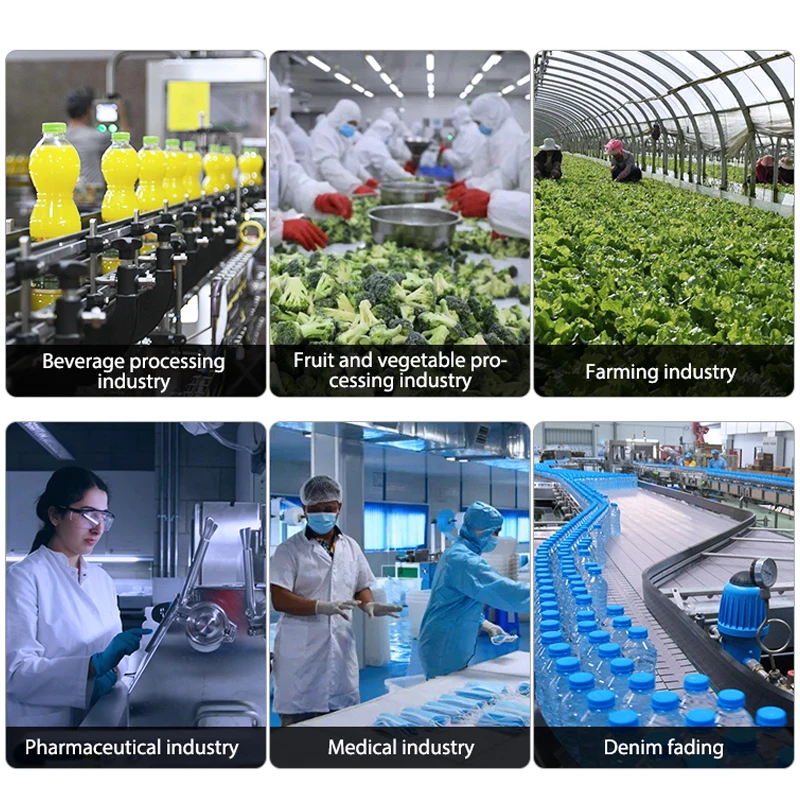 Qlozone LCD panel 10g/h quartz ozone machine wholesale smart control ozone generator for food