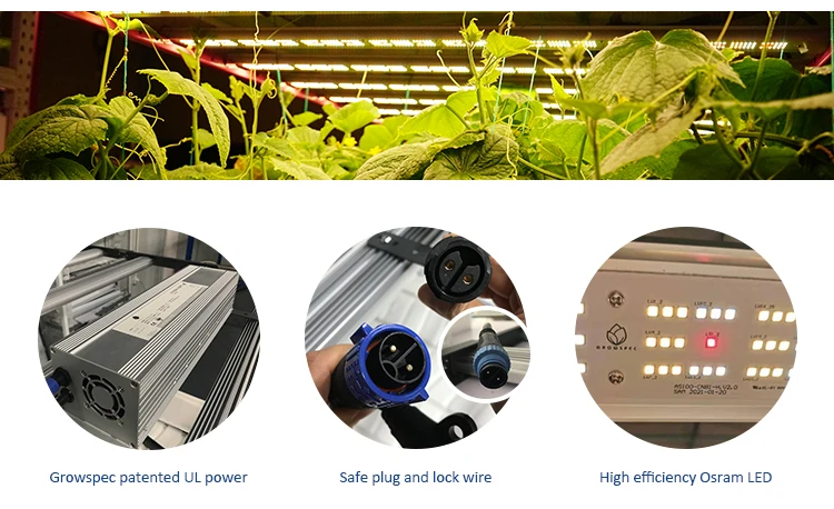 1000w led plant light (21).jpg