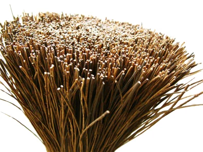 
Palmyra Fiber for Brooms Natural deck brush Palmyra High Quality Palmyra Fibre For Brushes 
