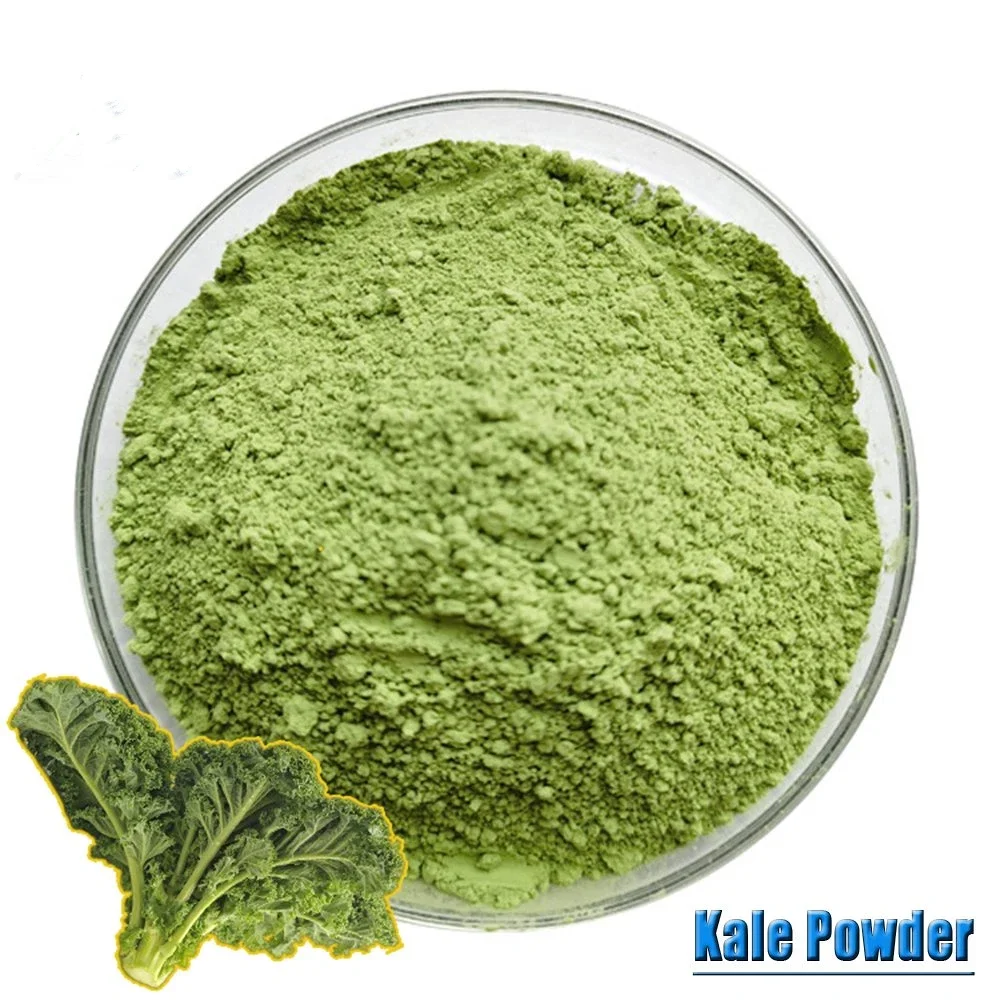 Whole Natural Bulk Organic kale extract powder kale powder