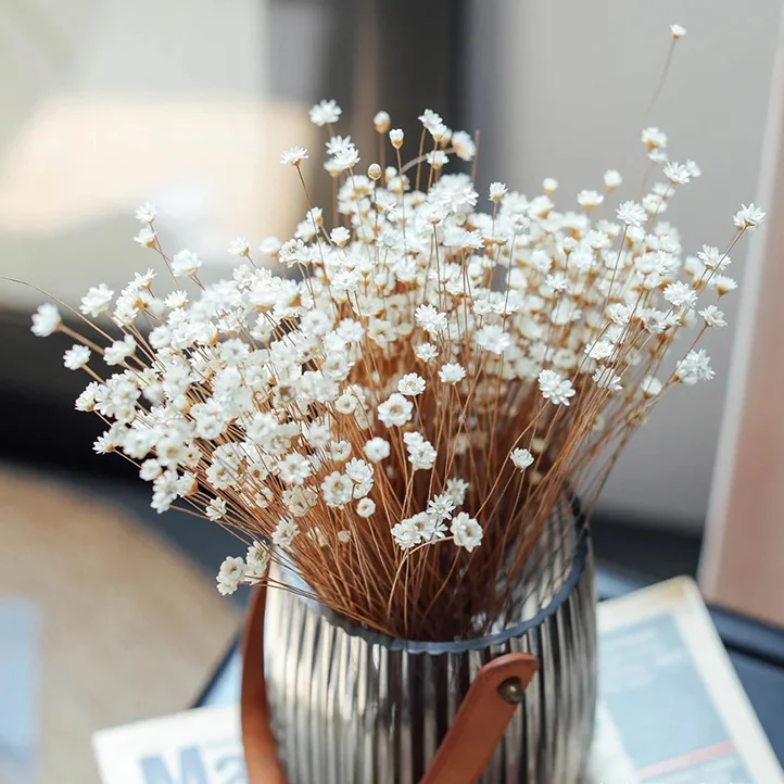 Dried natural magical daisy flower, star flower, brasil  wild mini flower 1cm