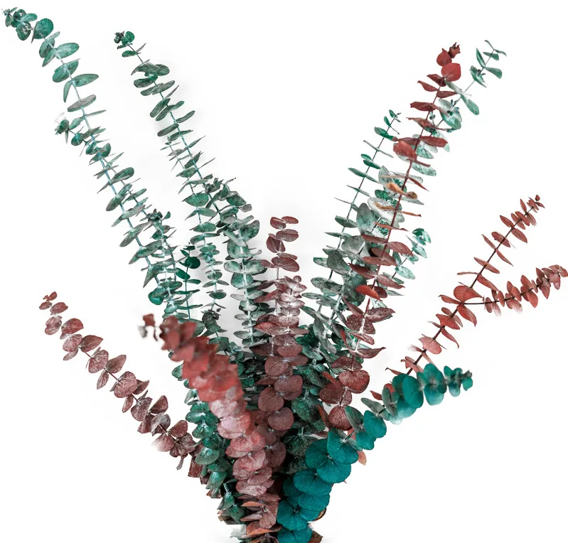 Hot Selling Eucalyptus Dry Leaves Collocation Dried Flowers Bouquet Home Shop Decoration