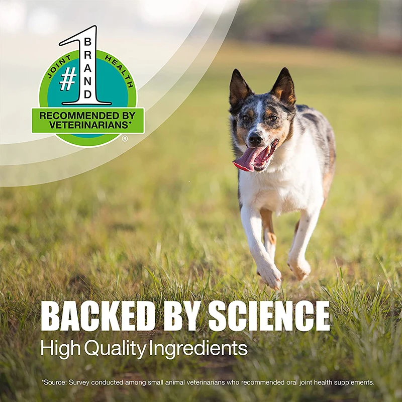Pet Health Joint Supplement Tablets Provides Support for Healthy Joints and Cartilage for Pet Joint Health
