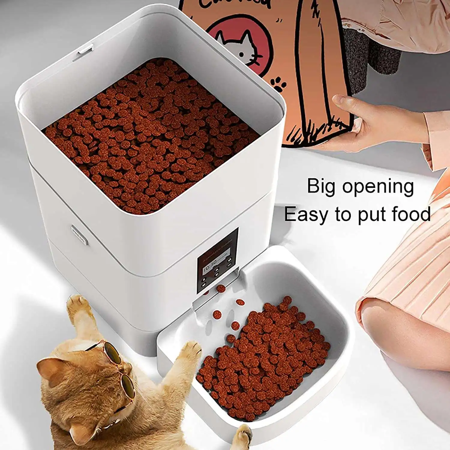 Cheap Price Pet Feeder Paw Pool Premium Smart Ce
