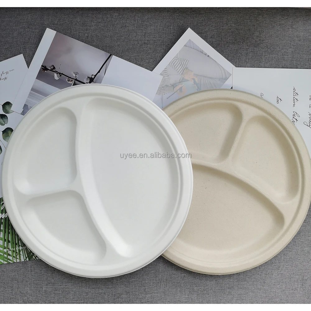 3 Compartment Clamshell 8 inch 9 inch Lunch Box Biodegradable Sugarcane Bagasse Tableware Lunchbox Food Containers
