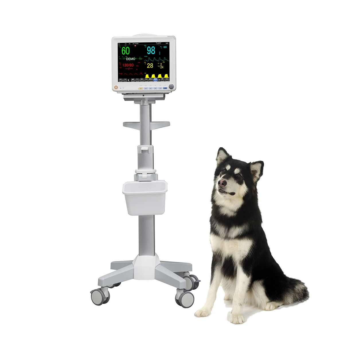 Medical Vital Signs Monitor Multi Parameter Monitor Veterinary ICU Portable 12.1 Inch Touch Screen Monitor