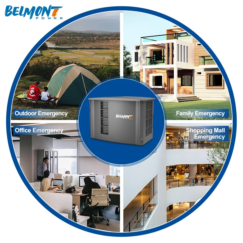 5.5kw 6kw 230v 400v 20kva 25kva 36kva 20kw 22kw 23kw 300kva Home Standby Powered Inverter Electric Home Natural Gas Generator