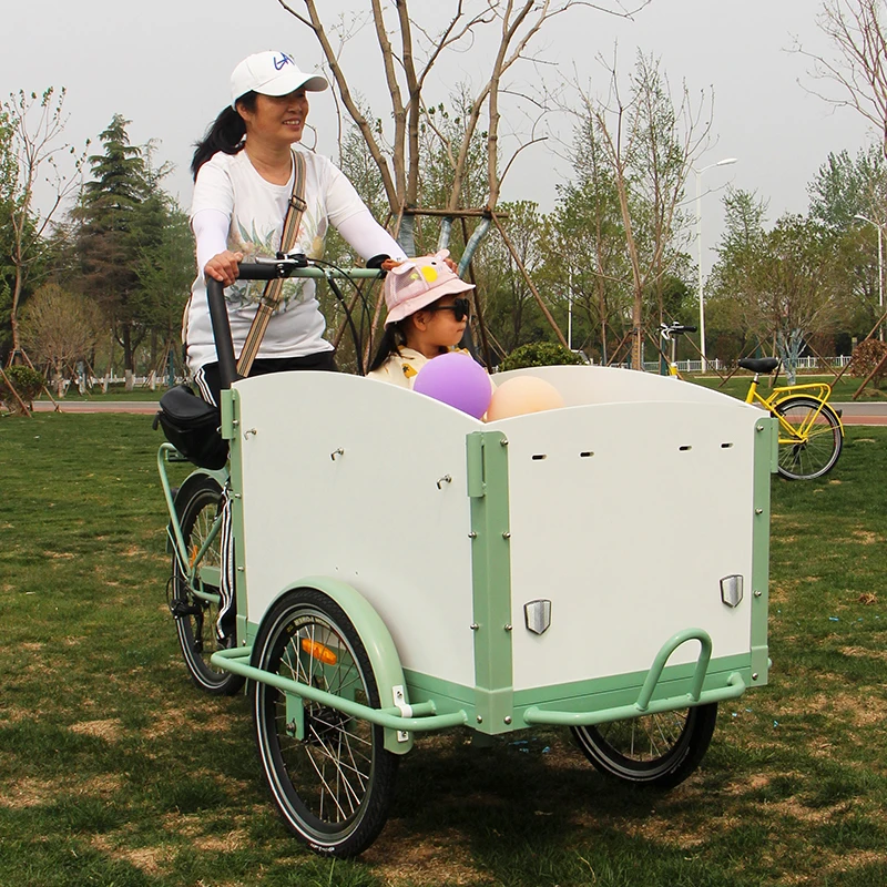 3 Wheels Electric Bicycle  non electric cargo pedal trike tricycle for carrying kids and pets