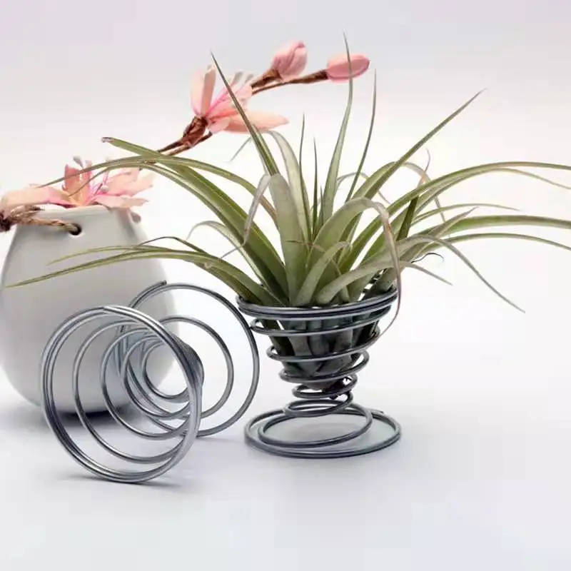 Air Plant Holder Tillandsia Display Holder Decorative Galvanized Steel Home Used with Flower/green Plant Metal,metal Steel