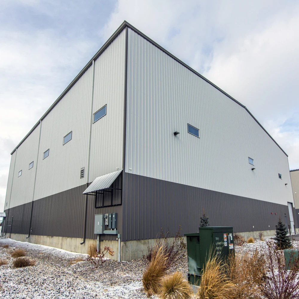 China Professional Supplier Steel Structure Metal Building Warehouse Steel Structure Storage Workshop Factory