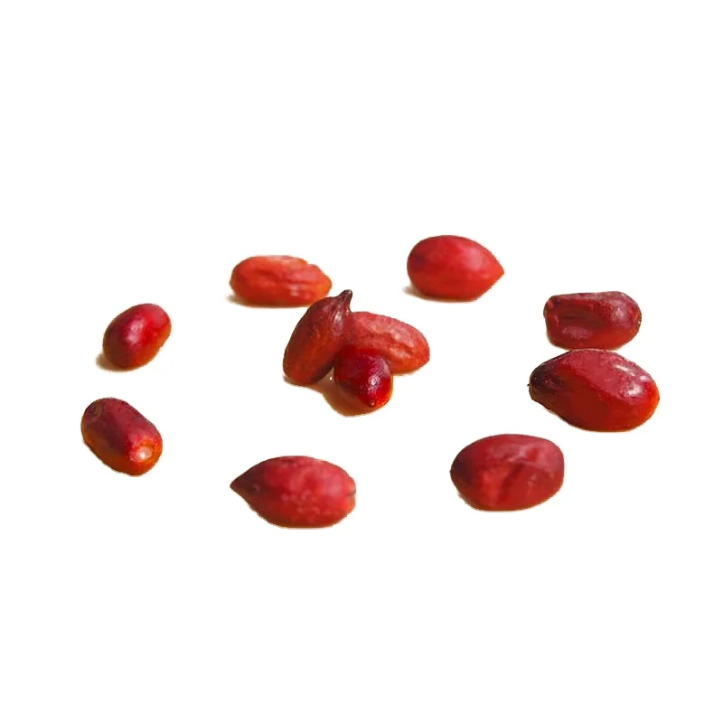 WOW Miracle fruit  tablet Organic