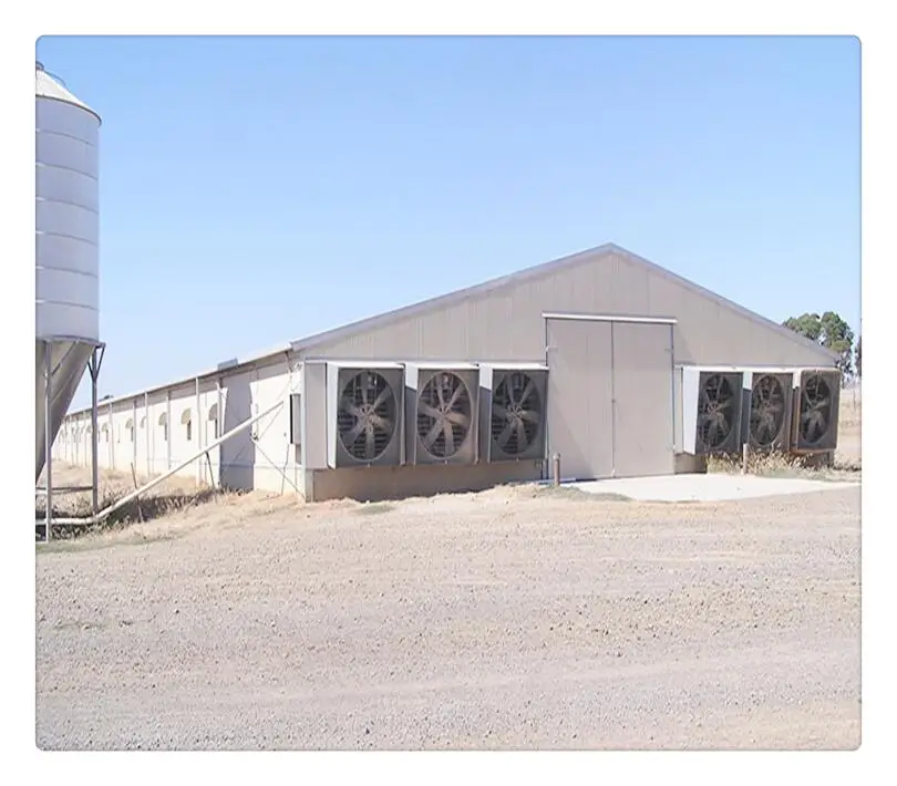 Low cost prefab steel structure chicken house build chicken coops / poultry farm house design