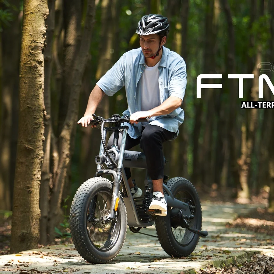 T20 Coswheel 2 seat electric bike rechargeable 20 inches big wheel size cycling 500W 48V Electric Bike